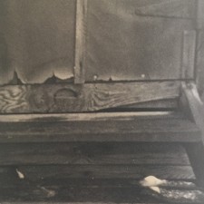 https://kenjifujita.com/files/gimgs/th-55_manzanar in the margins4.jpg